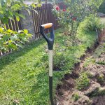 Wildlife Planting in Eatonton, Georgia