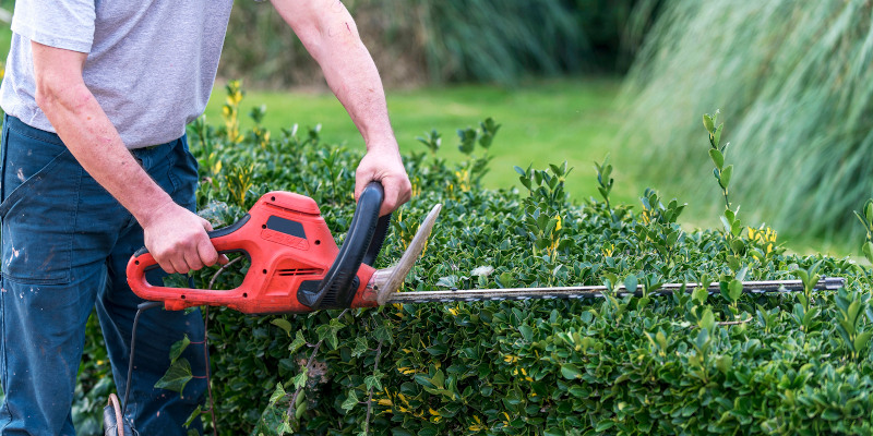 Yard Management in Eatonton, Georgia