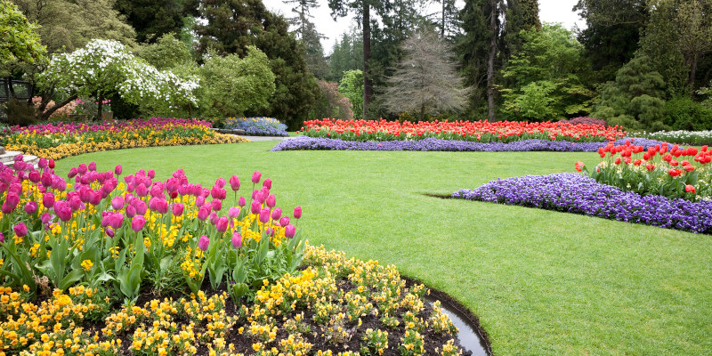 Landscaping in Eatonton, Georgia