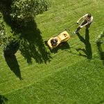 Backyard Landscaping