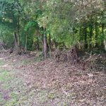 Land Clearing in Jones County, Geogia