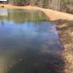 Pond Maintenance