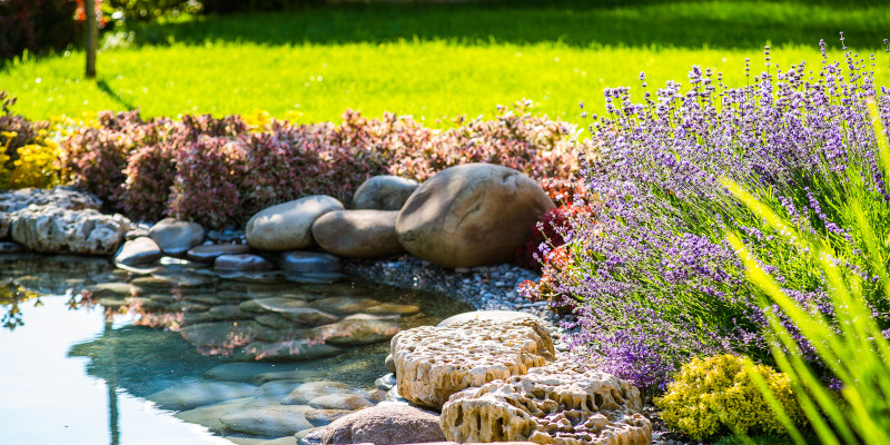 Pond Building in Eatonton, Georgia