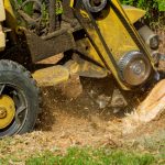 Brush Removal in Putnam County, Georgia