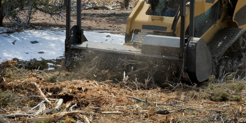 Forestry Mulching in Eatonton, Georgia