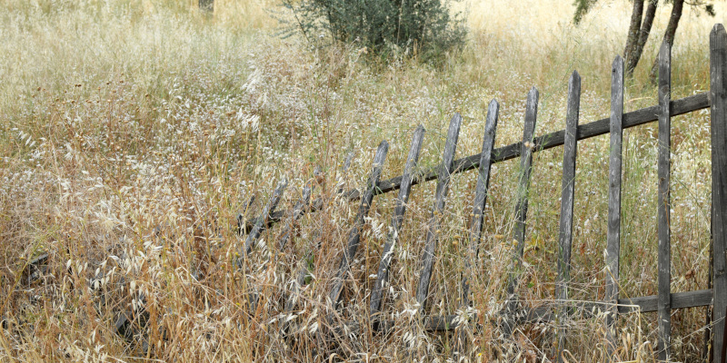 Bush Hogging in Eatonton, Georgia