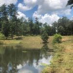 Pond Construction in Jones County, Georgia