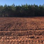 Wildlife Planting in Jones County, Georgia