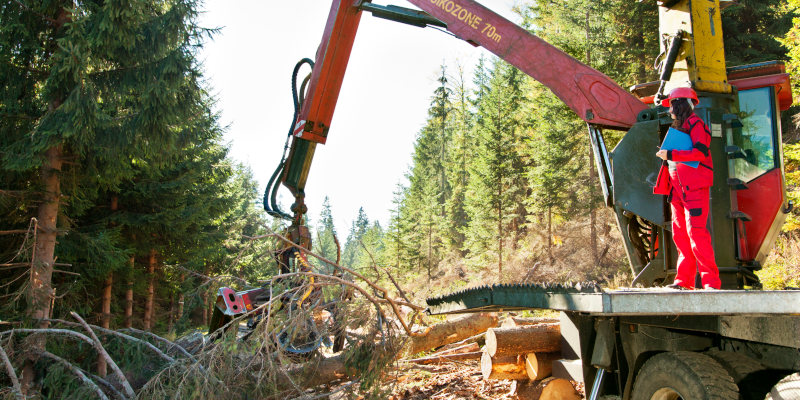 Forestry Equipment in Eatonton, Georgia 